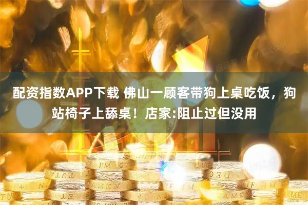 配资指数APP下载 佛山一顾客带狗上桌吃饭，狗站椅子上舔桌！店家:阻止过但没用