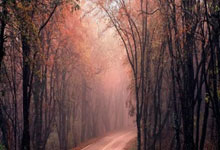 股票杠杆玩法:排名前十证券公司-美国人欢度劳动节之际警钟响起：超120万移民劳动力大军消失！